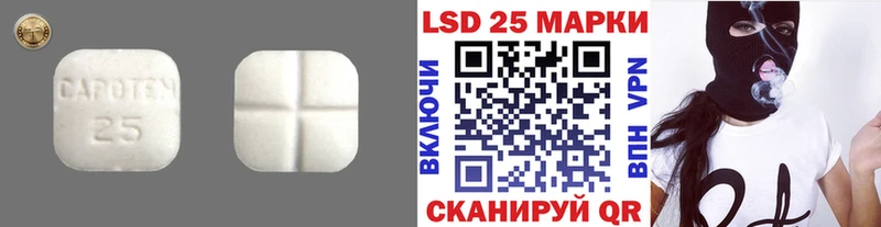 ЛСД экстази ecstasy  купить наркоту  Княгинино 